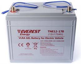 Everest TNE 12-170 - тяговый аккумулятор