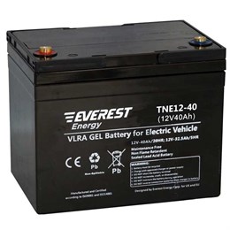 Everest TNE 12-40 - тяговый аккумулятор