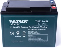 Everest TNE 12-45L - тяговый аккумулятор