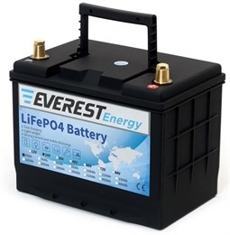 Everest Energy LFP-24V40Аh - литиевый тяговый аккумулятор