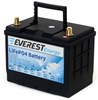 Everest Energy LFP-24V40Аh - литиевый тяговый аккумулятор - фото 6019