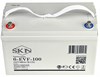 SKN 6-EVF-100 - тяговый аккумулятор (12V105A/H C5) - фото 6470