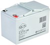 SKN 6-EVF-60 - тяговый аккумулятор (12V64A/H C5) - фото 6485